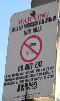 Warning sign for the death cap mushroom