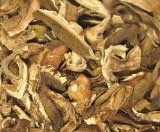 Dried porcini mushrooms