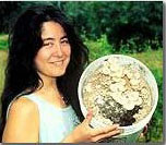 Oyster mushroom growing kit