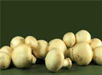 Edible mushrooms are good for you!