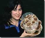 Turkey tail mushroom growing kit