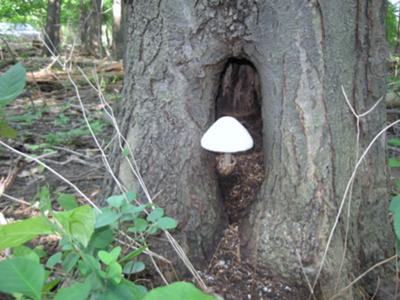 Safe and Secure