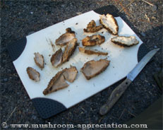 cooking morel mushrooms