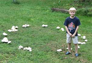 Boy near a fairy ring