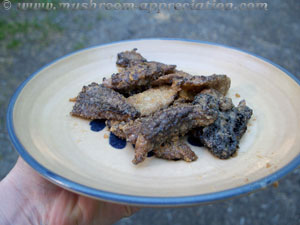 Fried morels are fun and easy to make