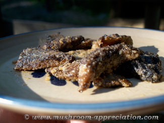 Fried morels are a favorite springtime recipe!