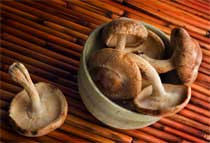 How to Cook Shiitake Mushrooms