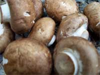 More cremini mushrooms, also known as crimini mushrooms