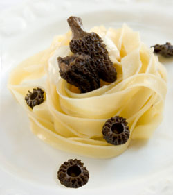 Pasta recipe for morel mushrooms