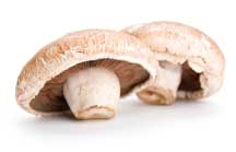 Golden mushroom soup is often made with portobello mushrooms