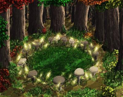 The Story of Fairy Rings Has Always Intrigued Me!