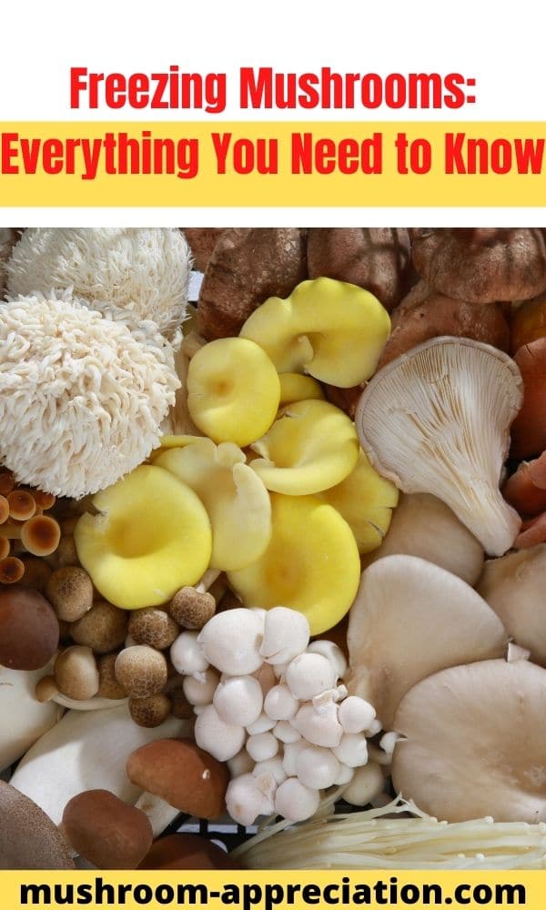 Freezing Mushrooms Everything You Need to Know Mushroom Appreciation