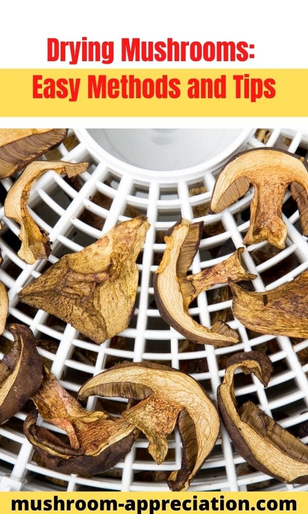 Drying Mushrooms Easy Methods and Tips Mushroom Appreciation