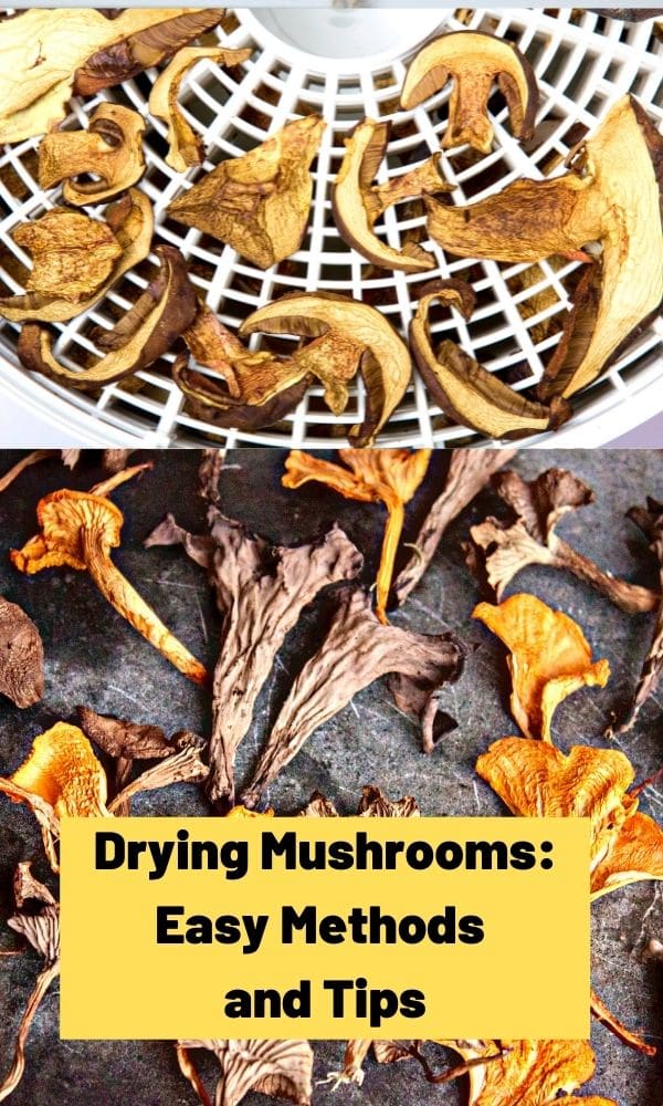 Drying Mushrooms Easy Methods and Tips Mushroom Appreciation