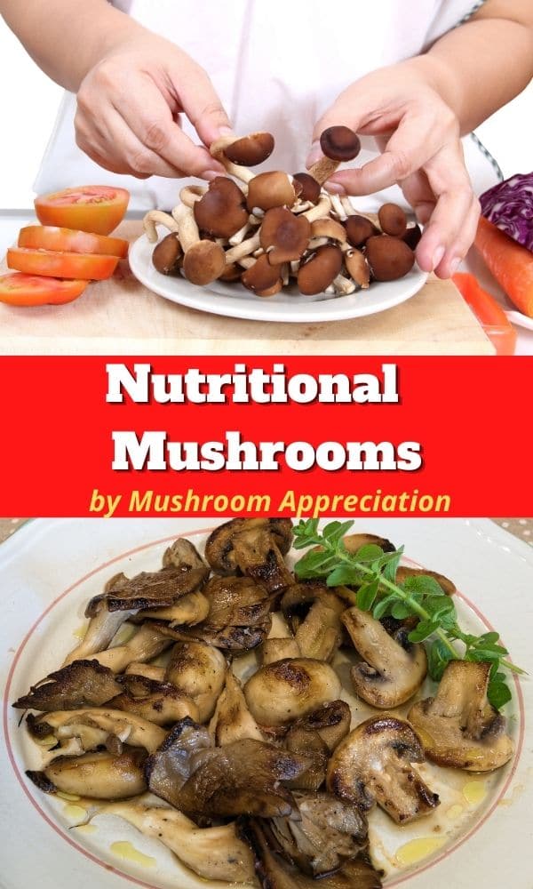 The Nutritional Value of Mushrooms Mushroom Appreciation