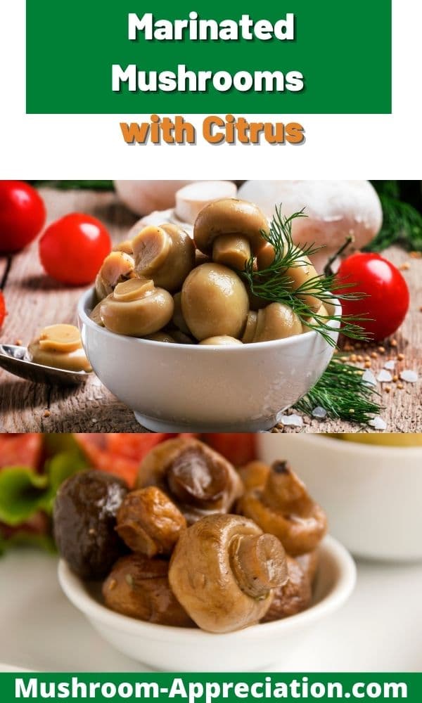 Citrus Marinated Mushroom Recipe Mushroom Appreciation