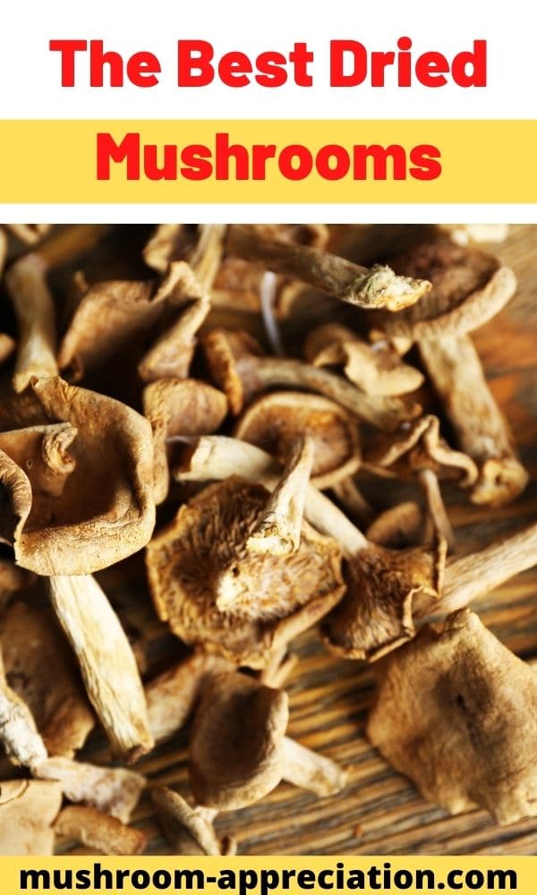 The Best Dried Mushrooms Mushroom Appreciation