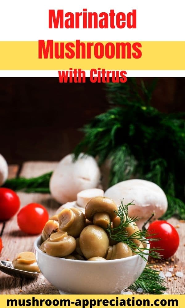 Citrus Marinated Mushroom Recipe Mushroom Appreciation