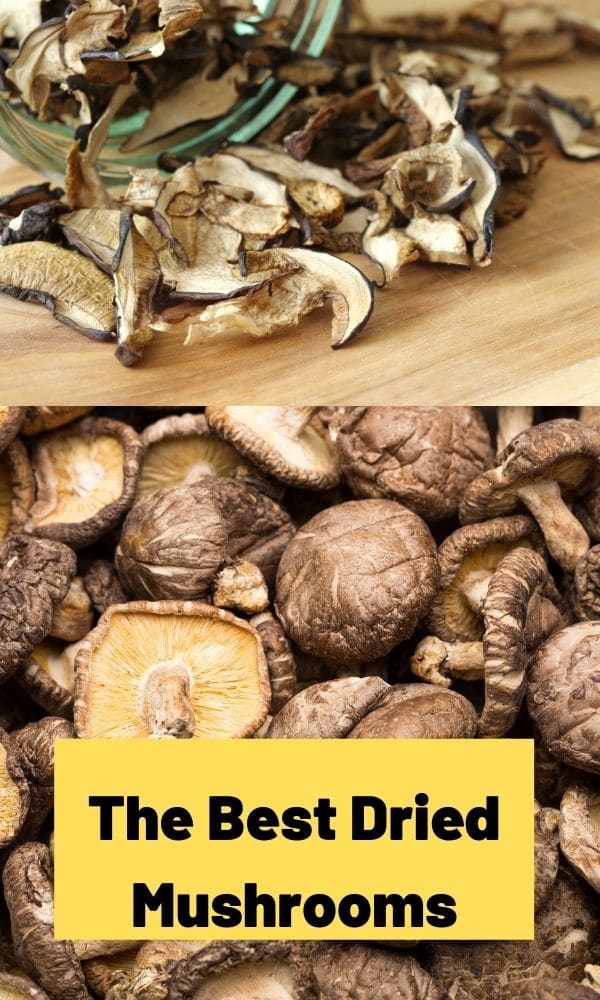 The Best Dried Mushrooms Mushroom Appreciation