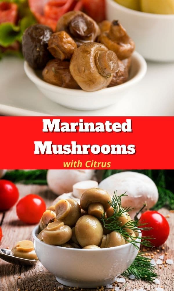 Citrus Marinated Mushroom Recipe Mushroom Appreciation
