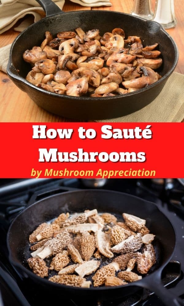 How to Sauté Mushrooms Mushroom Appreciation