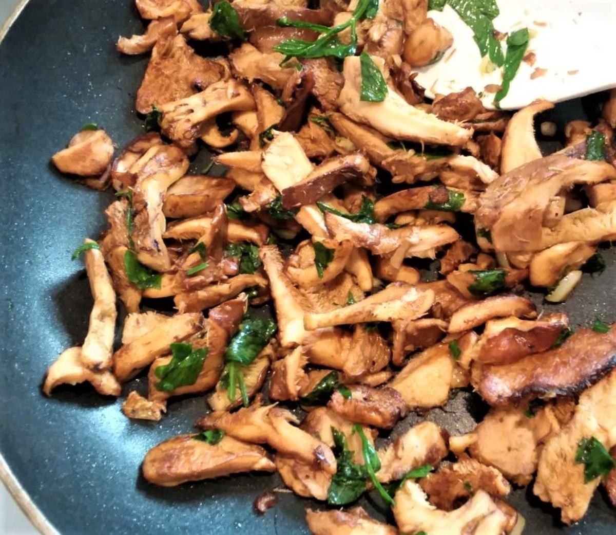 Sautéed hedgehog mushrooms