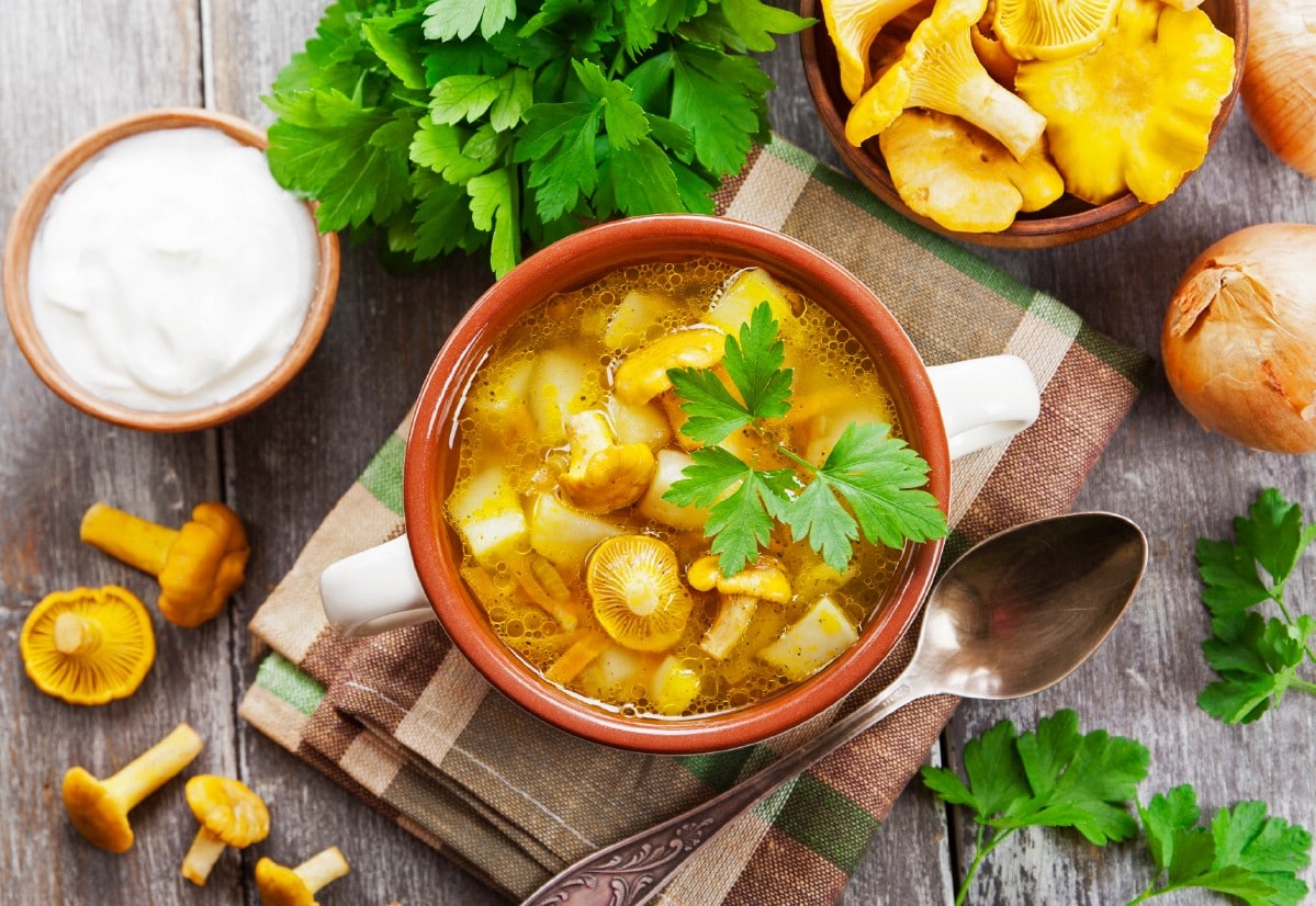 chanterelle soup