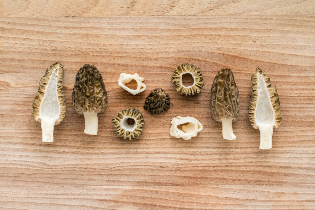 cut open true morels