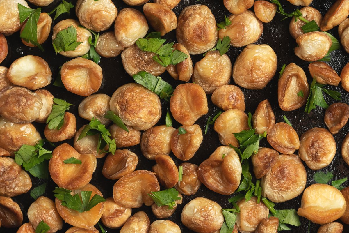 Fried little puffball mushrooms