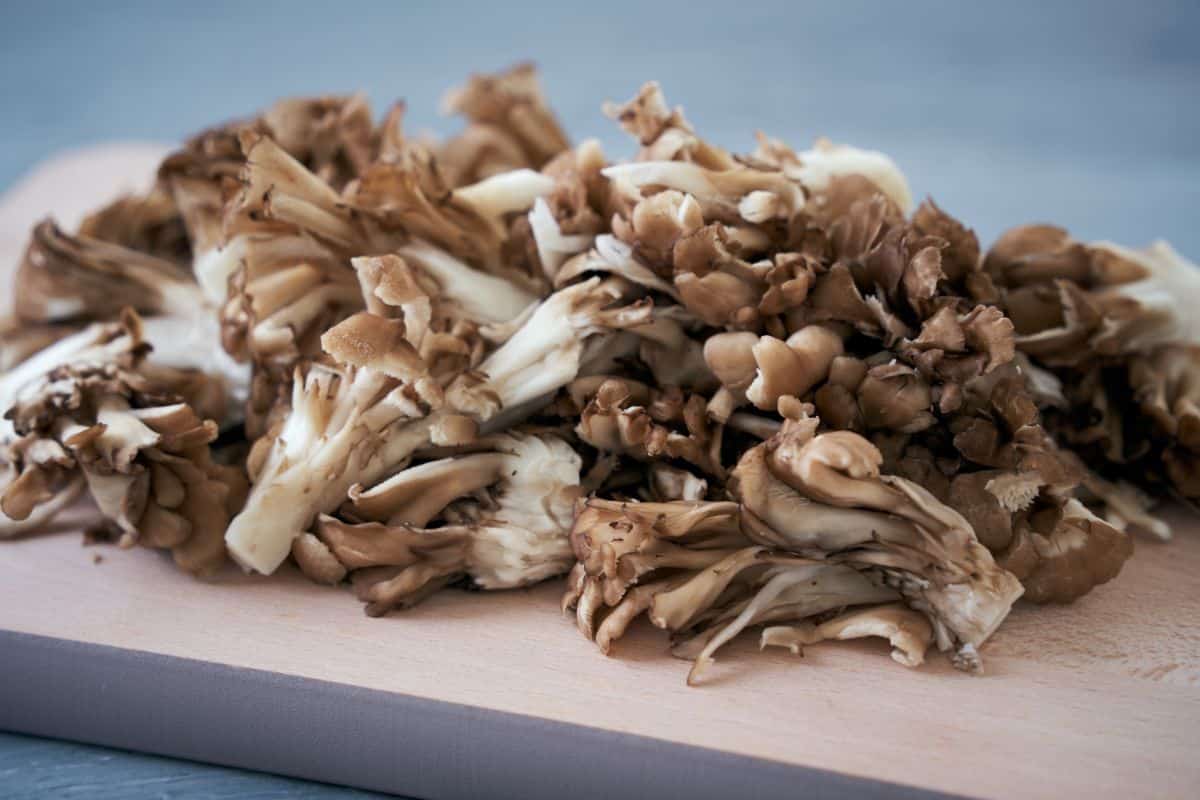 cut up mushroom of woods