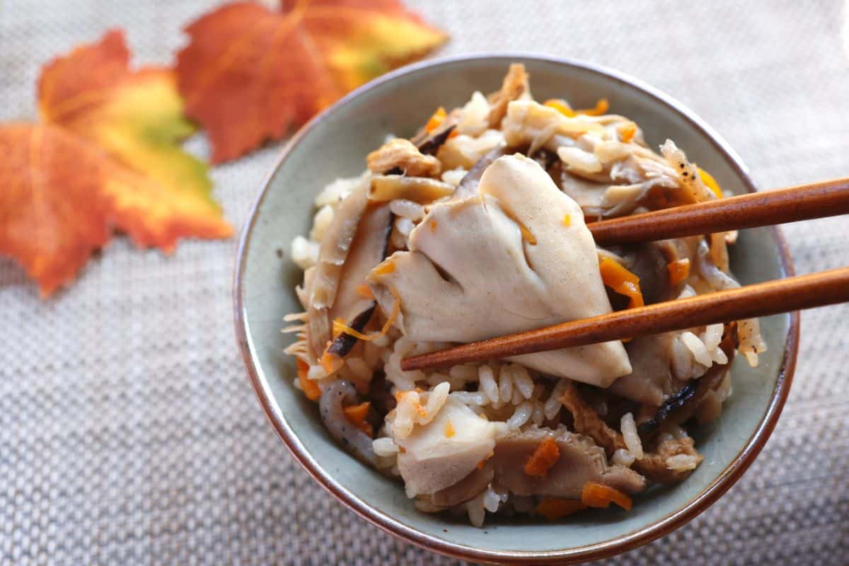 maitake mushroom in soup