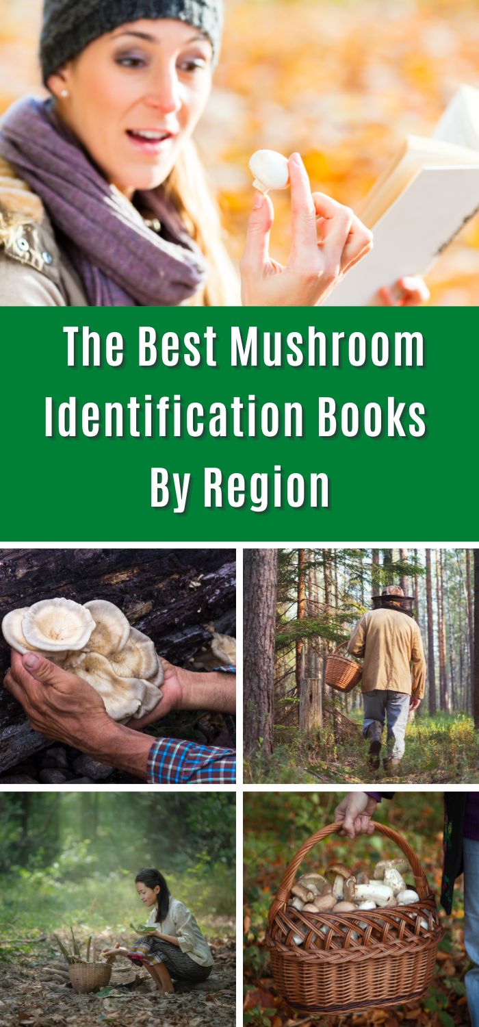 The Best Mushroom Identification Books By Region - Mushroom Appreciation