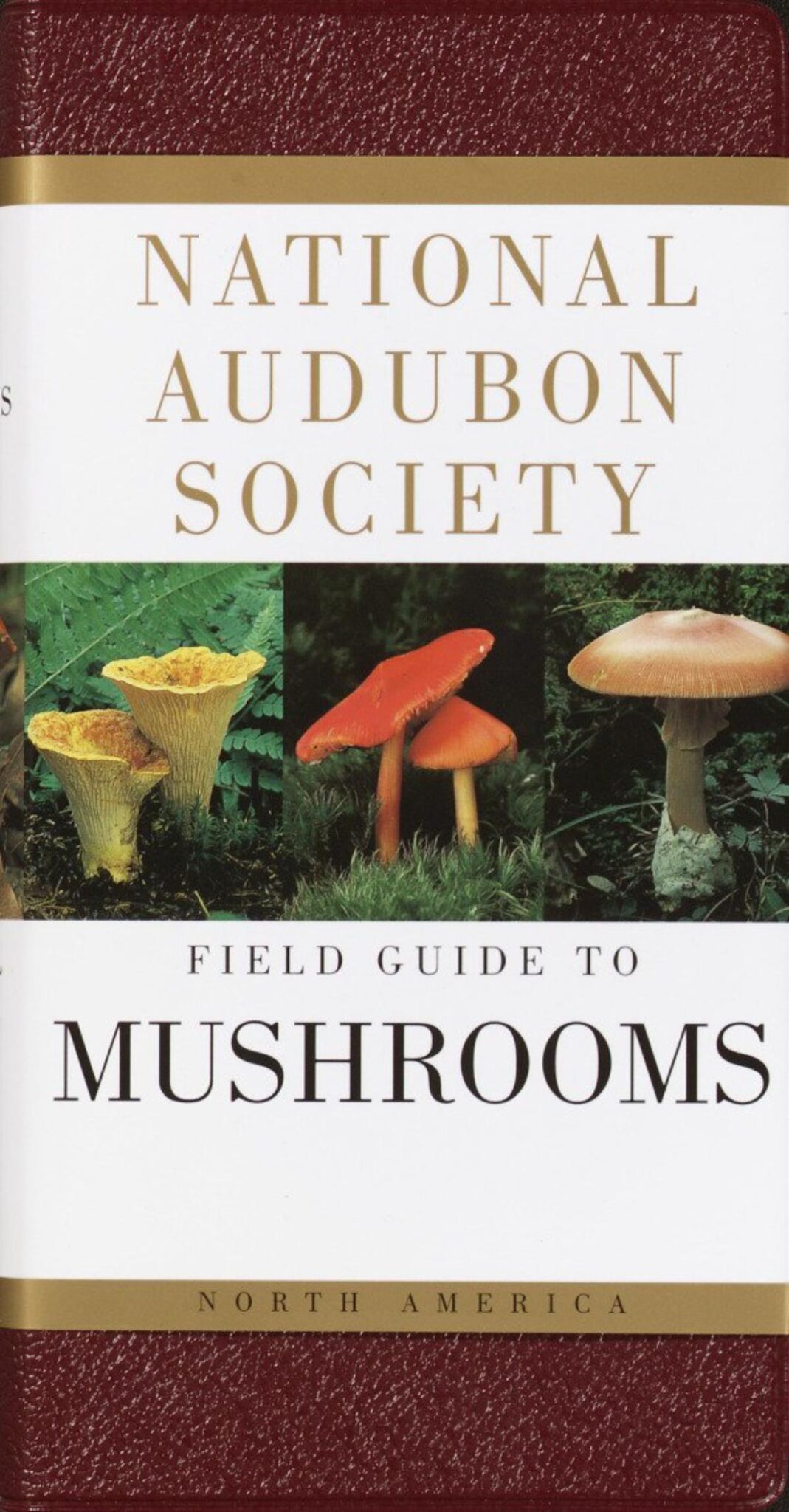 The Best Mushroom Identification Books By Region Mushroom Appreciation
