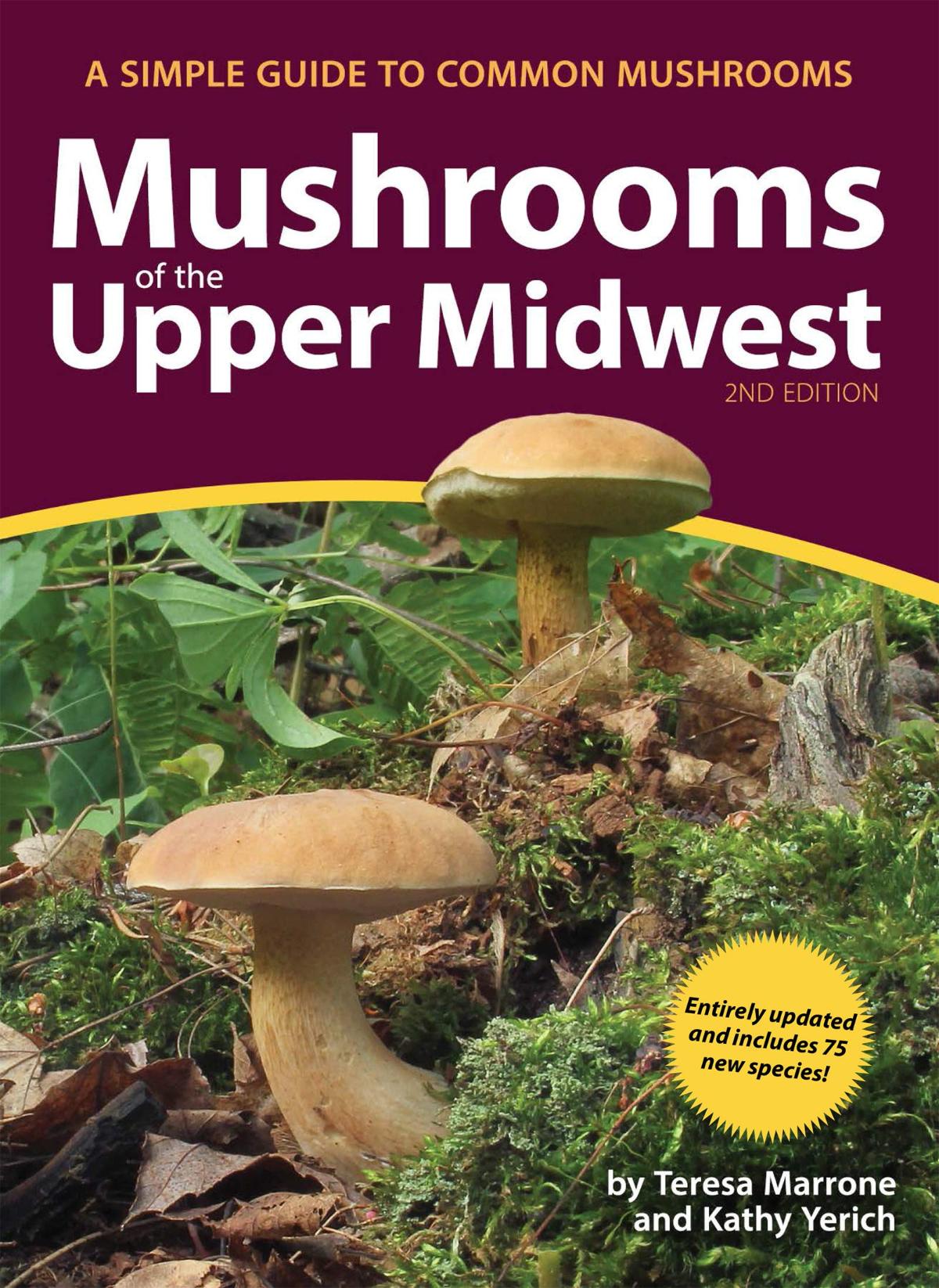 mushrooms of upper midwest mushroom identification books