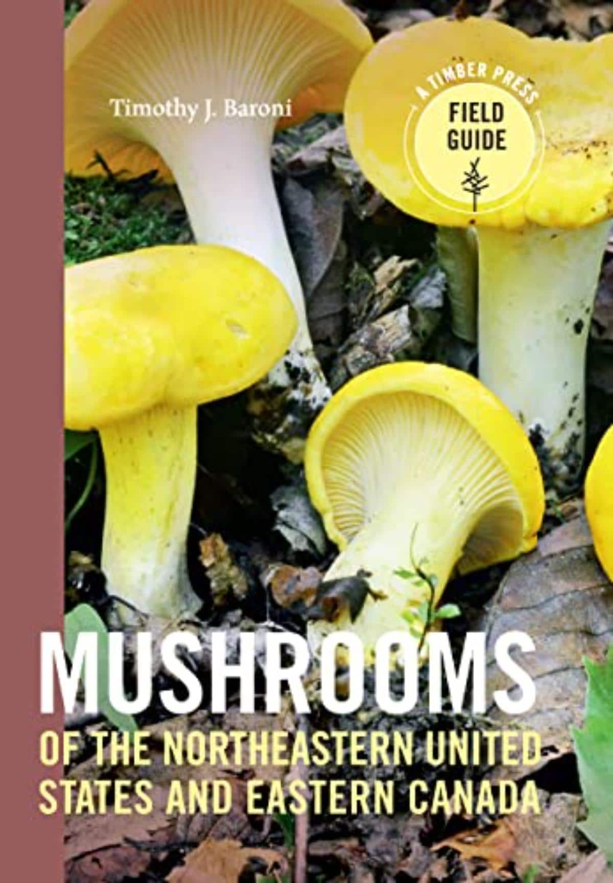 mushrooms of the northeast
