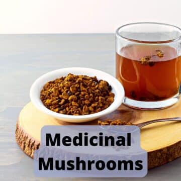 Medicinal Mushrooms