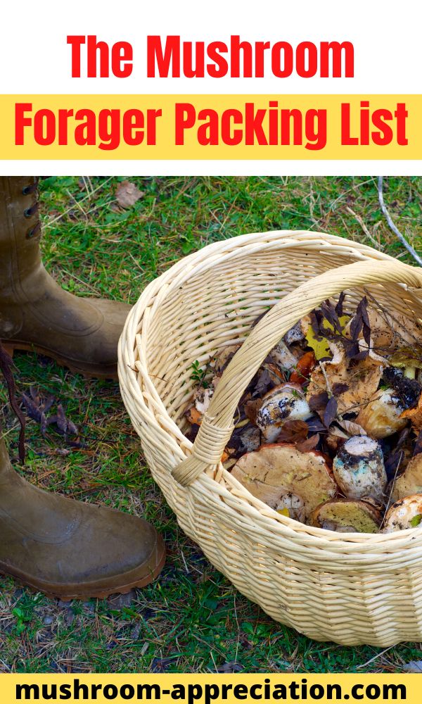 The Mushroom Forager Packing List Mushroom Appreciation