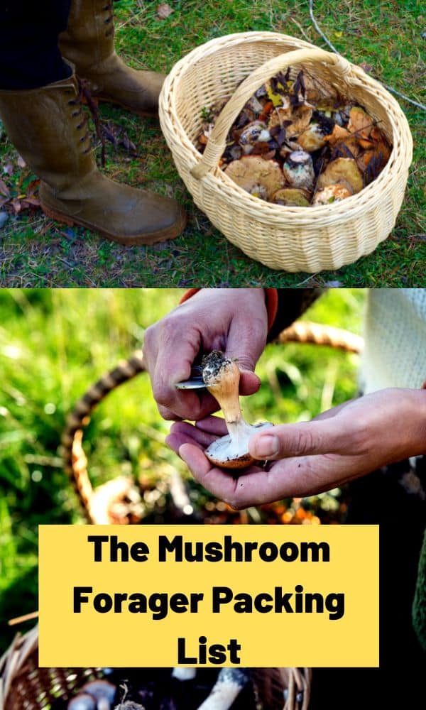 The Mushroom Forager Packing List Mushroom Appreciation
