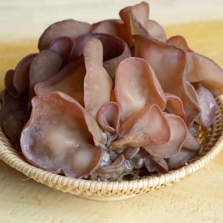 Wood Ear Mushrooms Identification, Foraging, and Lookalikes Mushroom