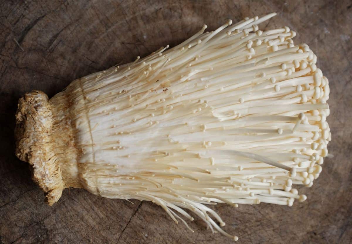 white enoki golden needle mushroom