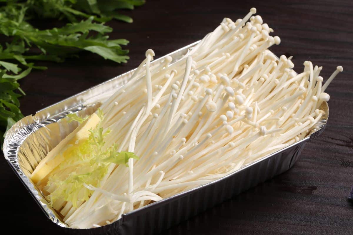 cultivated enoki mushrooms