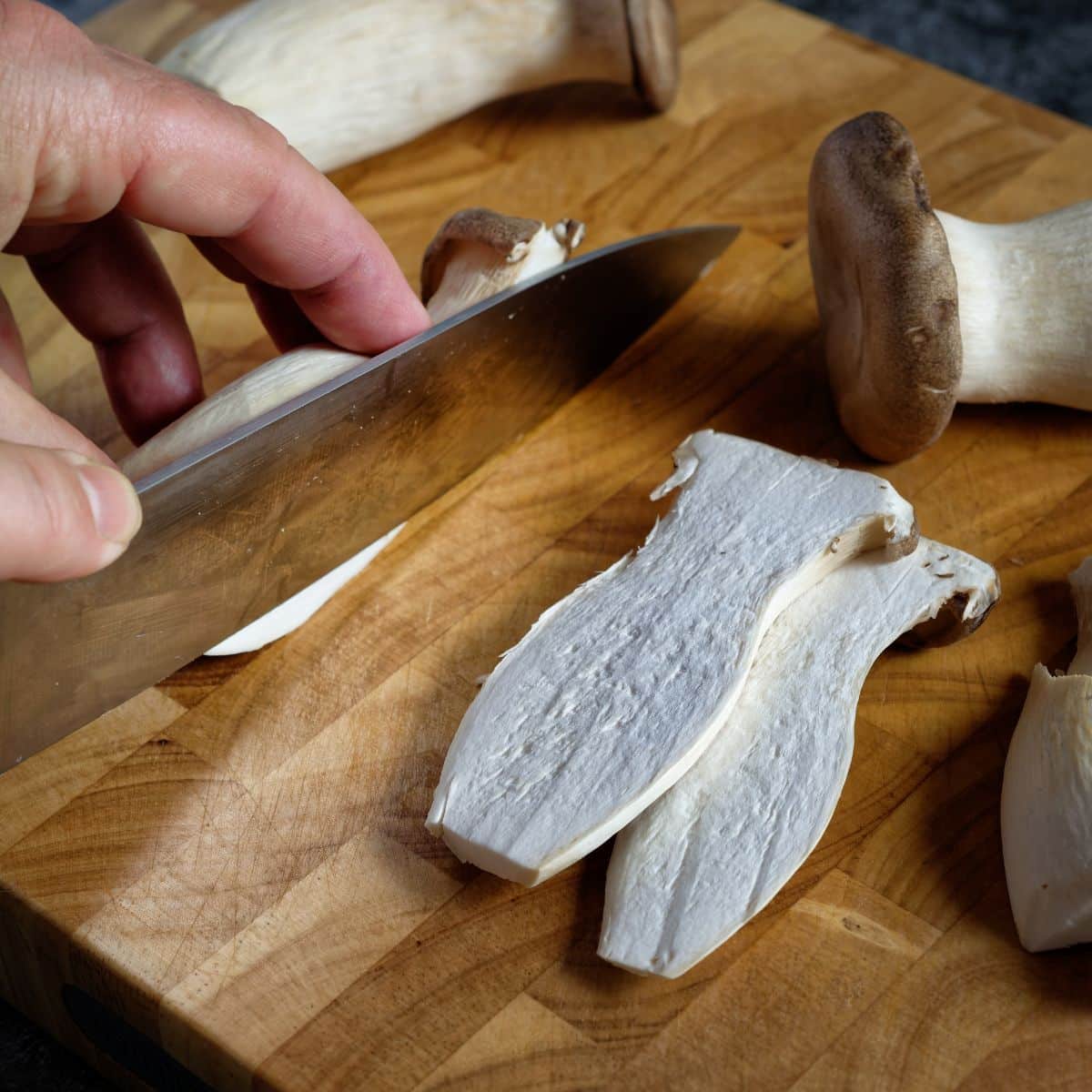 Pleurotus eryngii