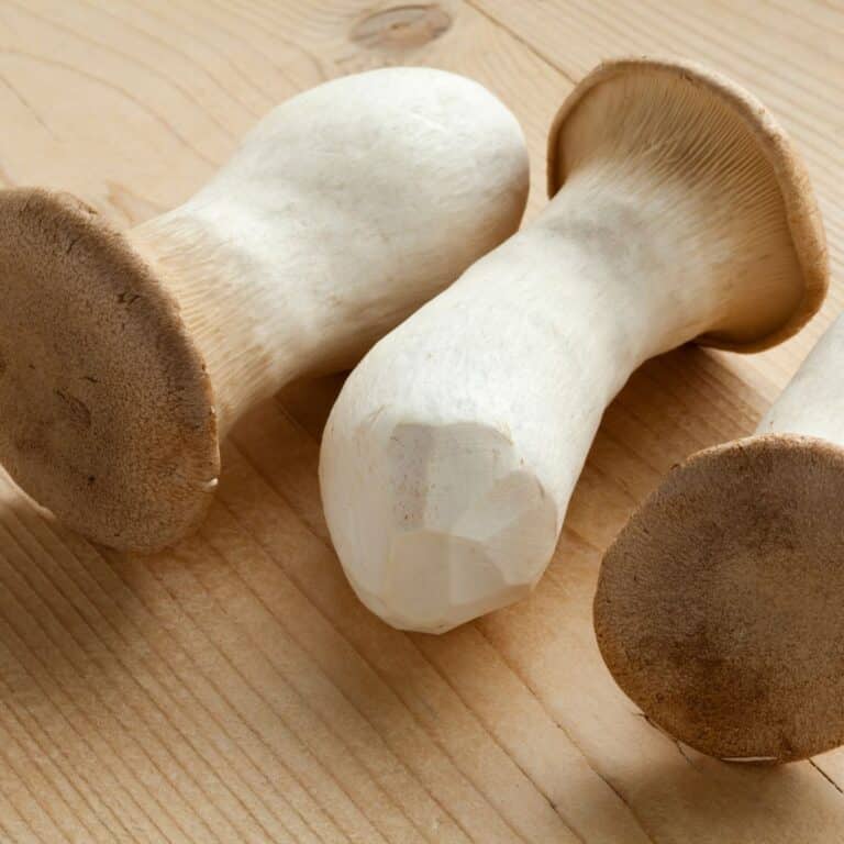All About King Oyster Mushrooms: Growing, Cooking, and History ...