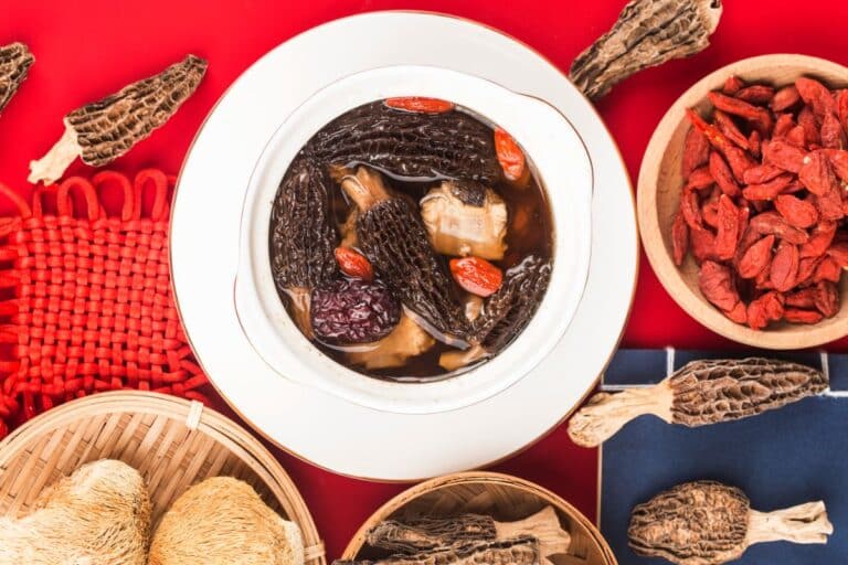 How to Properly Harvest and Prepare Morel Mushrooms - Mushroom Appreciation