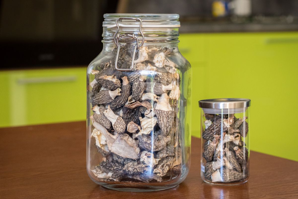 stored dry morels