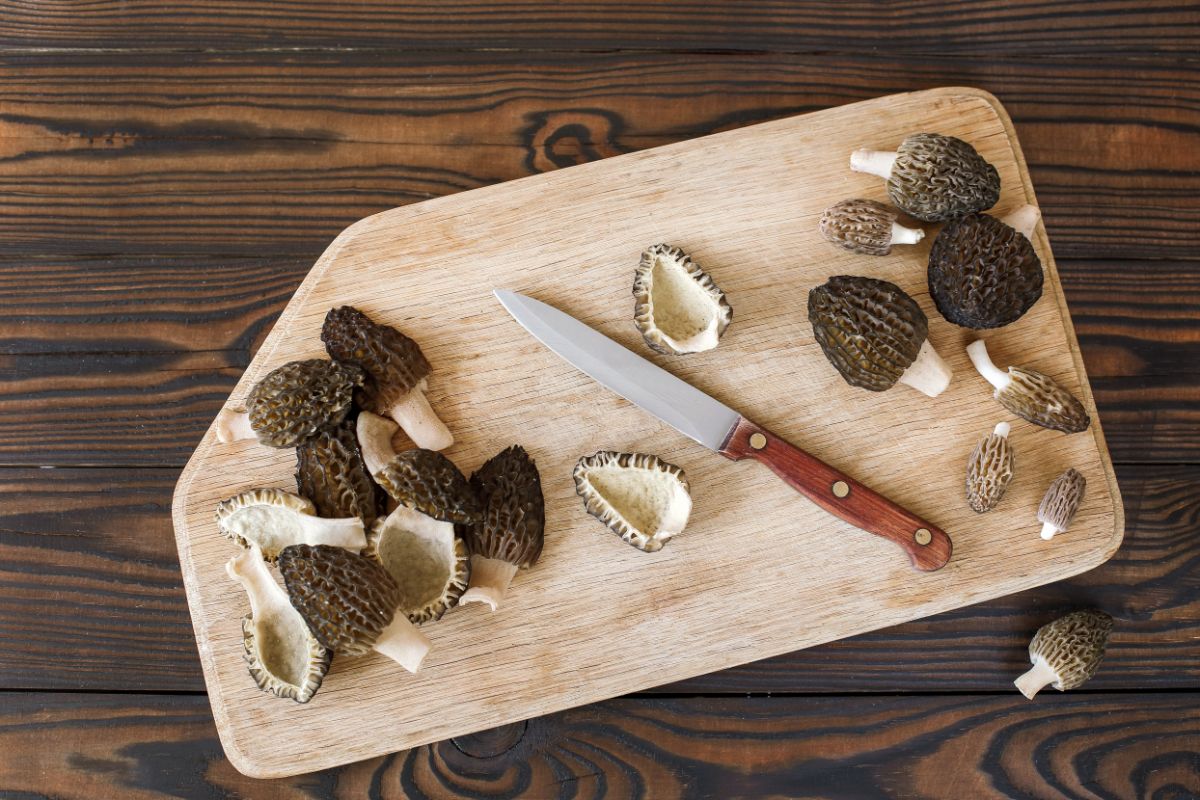 sliced morels