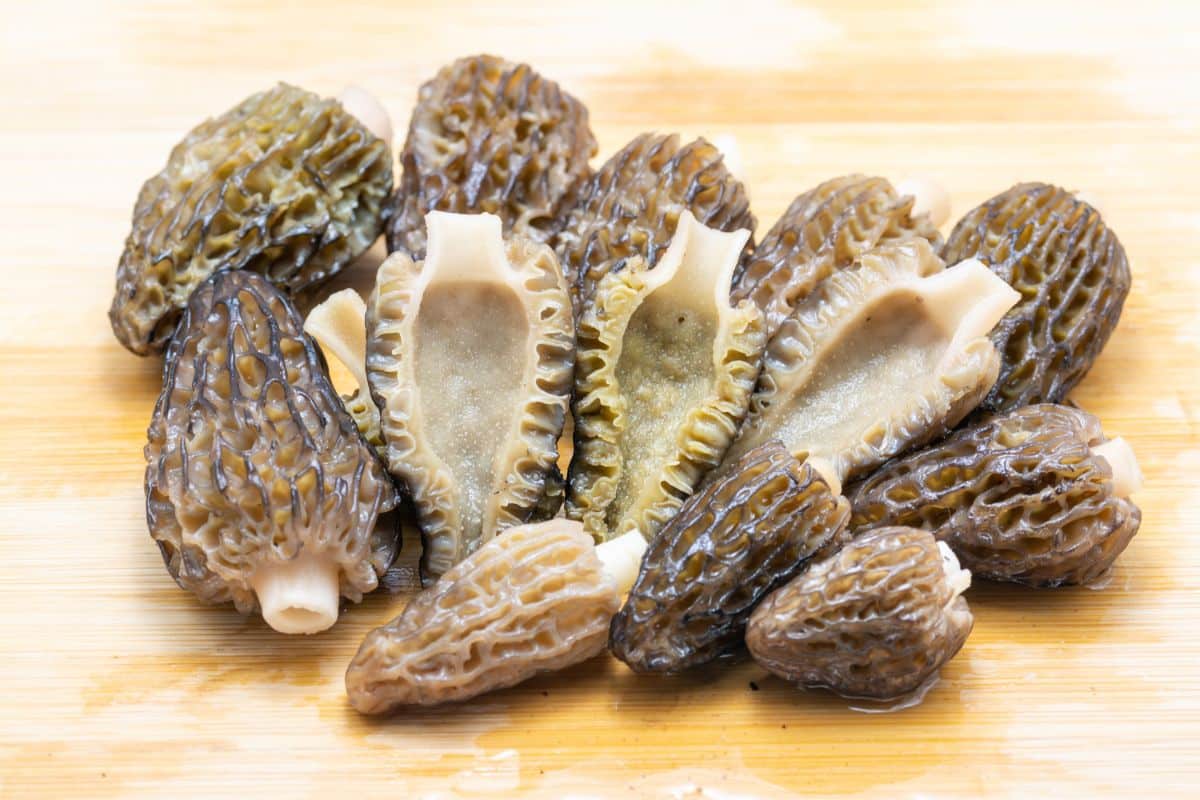 cooking morel mushrooms