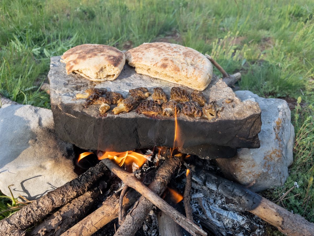 morels on campfire