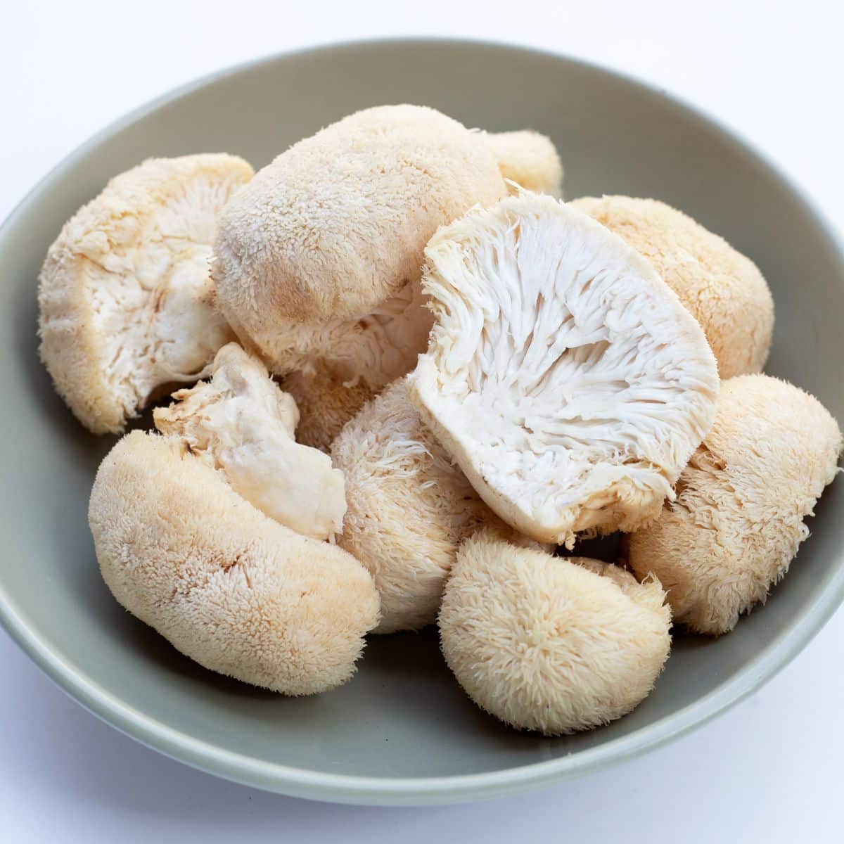 lion's mane in a bowl