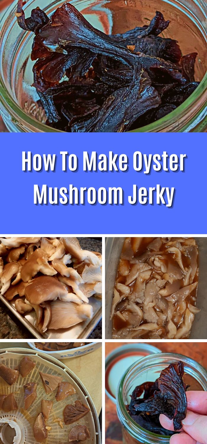 How To Make Oyster Mushroom Jerky Mushroom Appreciation